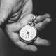 Illustration for article titled What Is the Molecular Clock, Exactly?